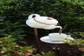 What can you do with old teapots?